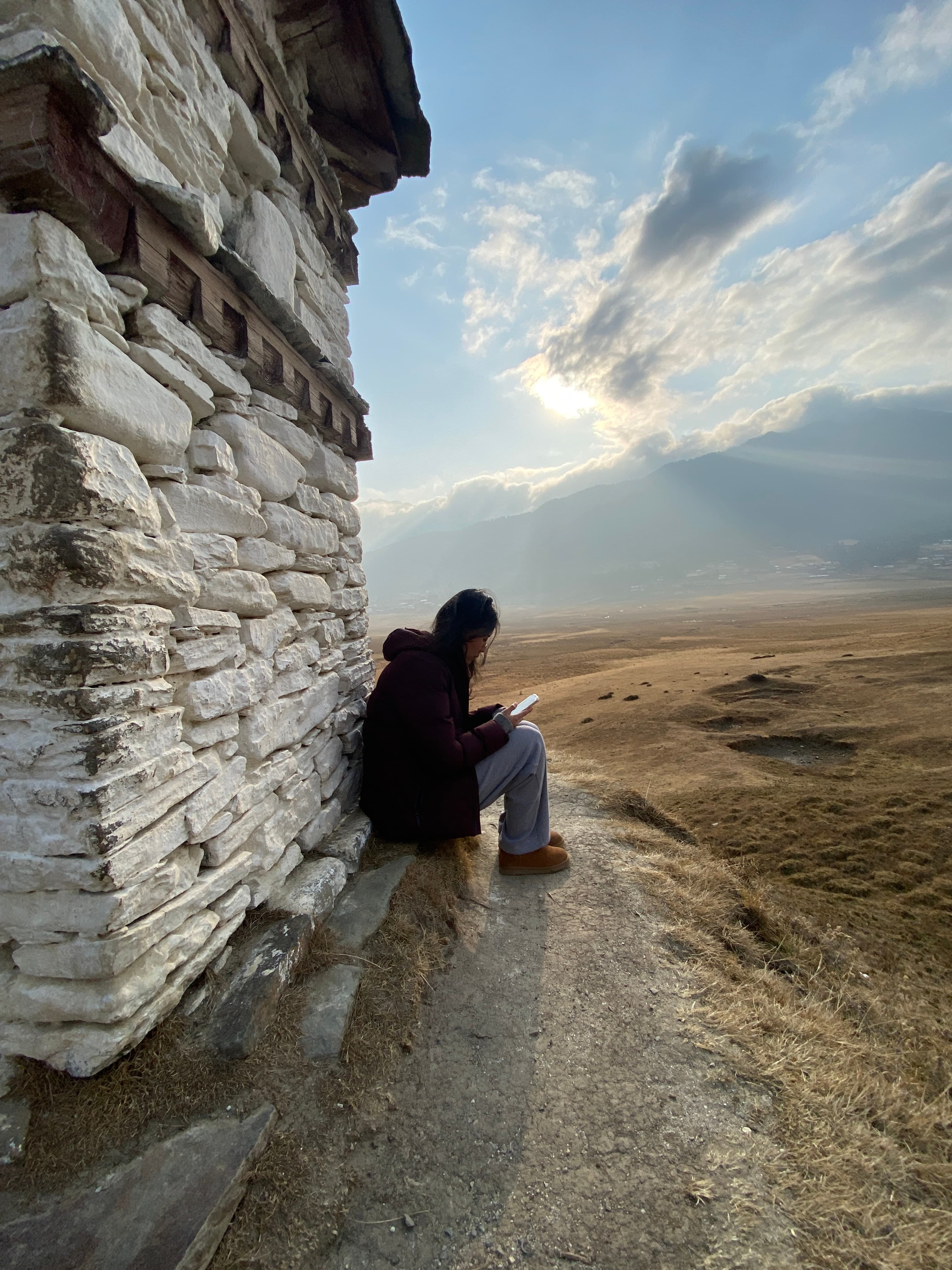 Sitting on a stone wall over dry grassland, looking out at a bright winter sky.