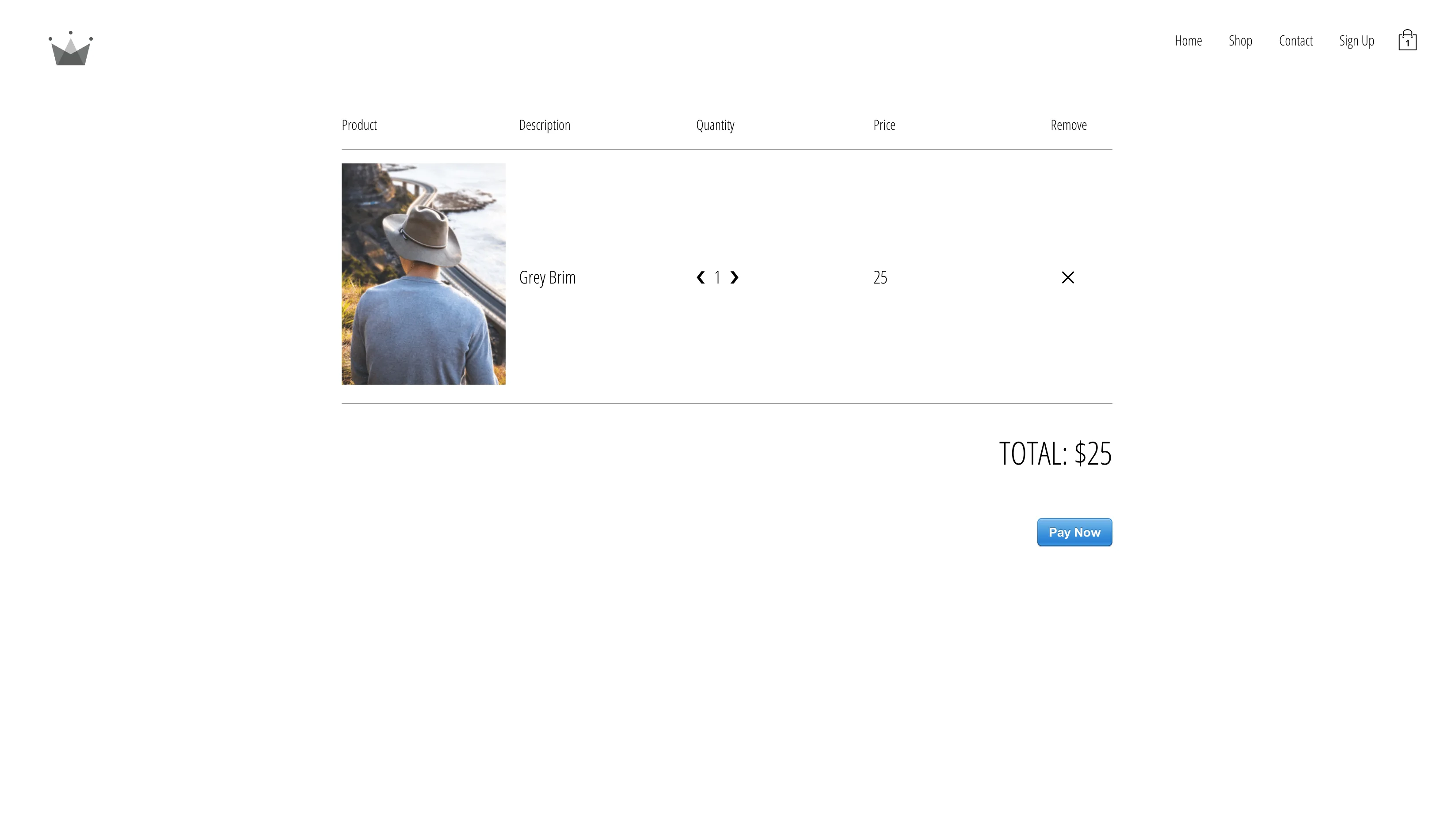 Cloth Shopping Site detail 2