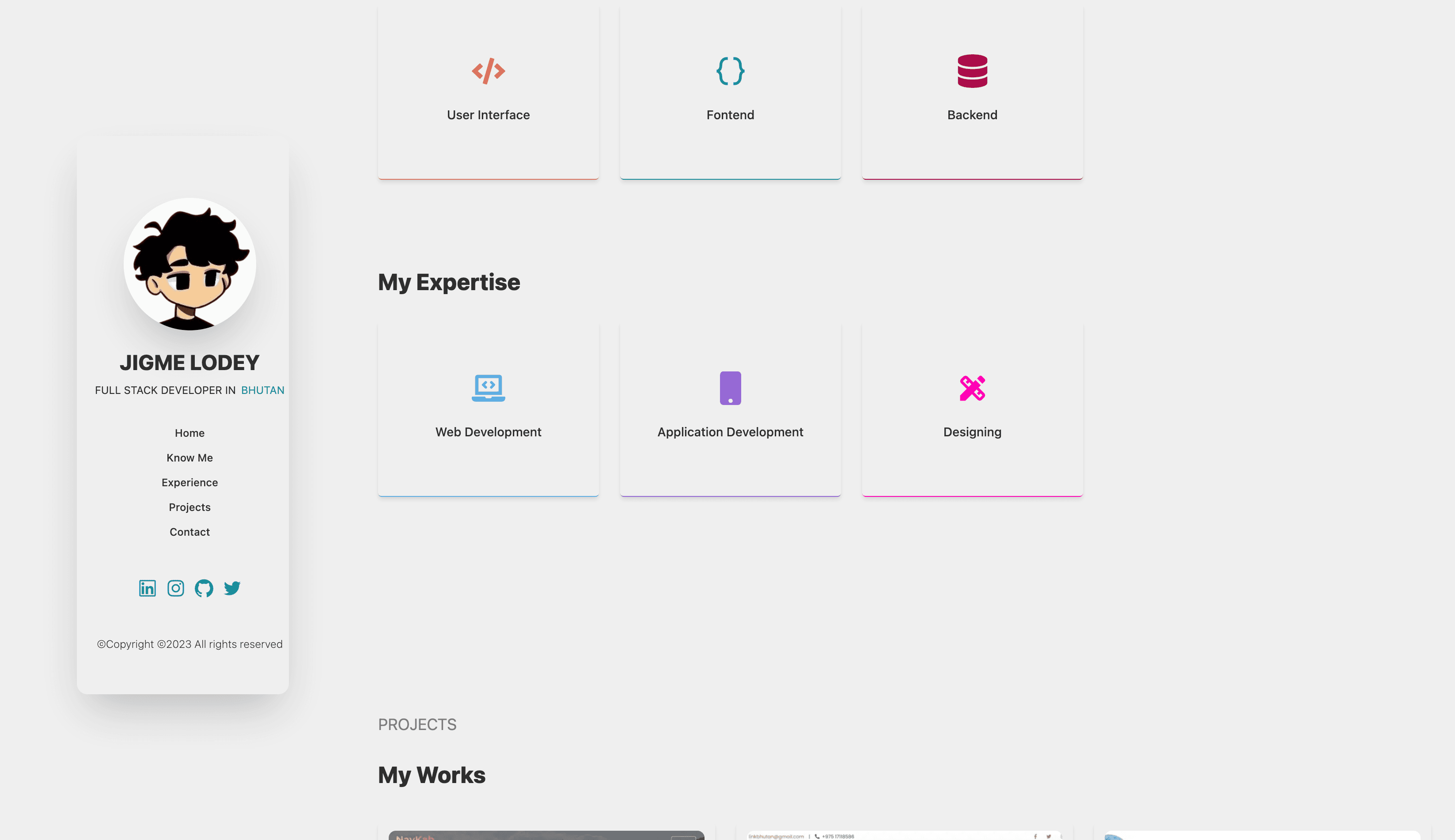 Portfolio detail 2